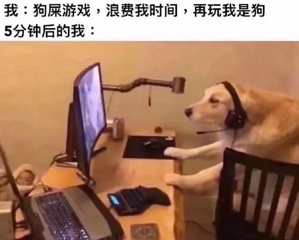 你是哪种姿势？